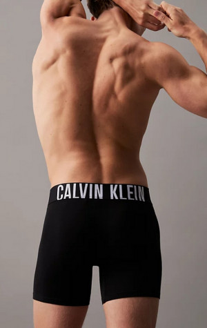 Pánské boxerky Calvin Klein NB3609 3pack