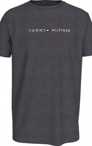 Pánské tričko Tommy Hilfiger UM0UM03344 PTY