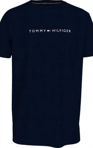 Pánské tričko Tommy Hilfiger UM0UM03344 DW5