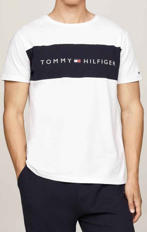 Pánské tričko Tommy Hilfiger UM0UM03418