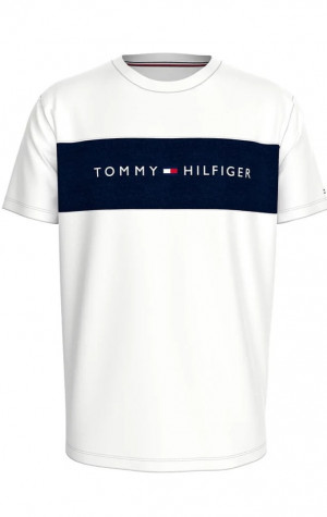 Pánské tričko Tommy Hilfiger UM0UM03418