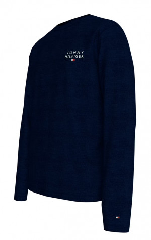 Pánské tričko Tommy Hilfiger UM0UM02984